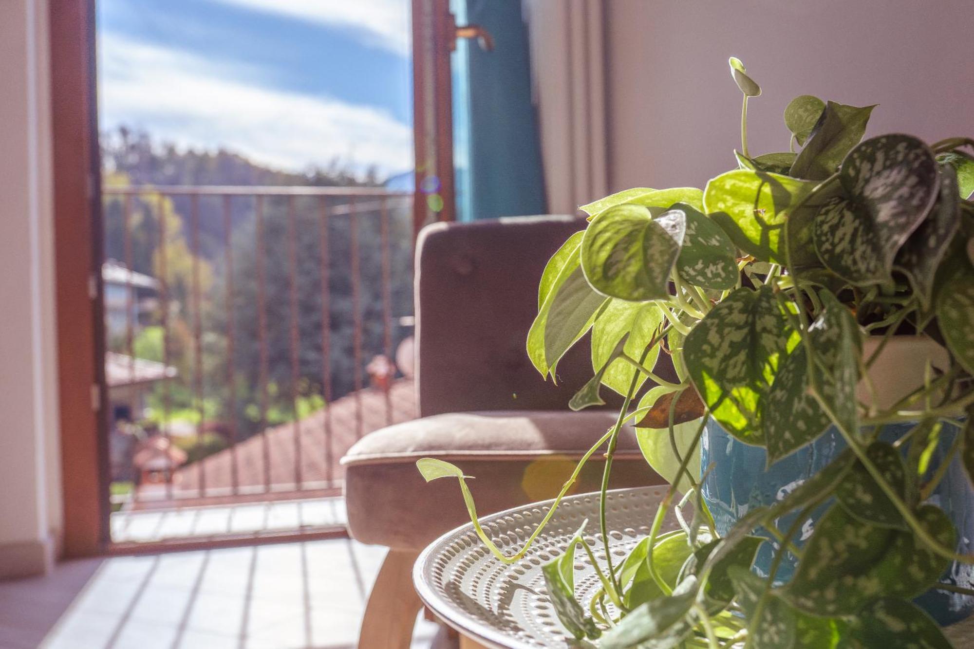 Larius Apartment - Como Lake View Mandello del Lario Dış mekan fotoğraf